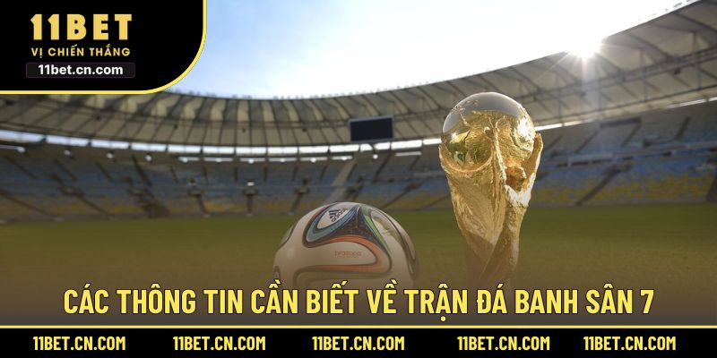 Các thông tin cần biết về trận đá banh sân 7
