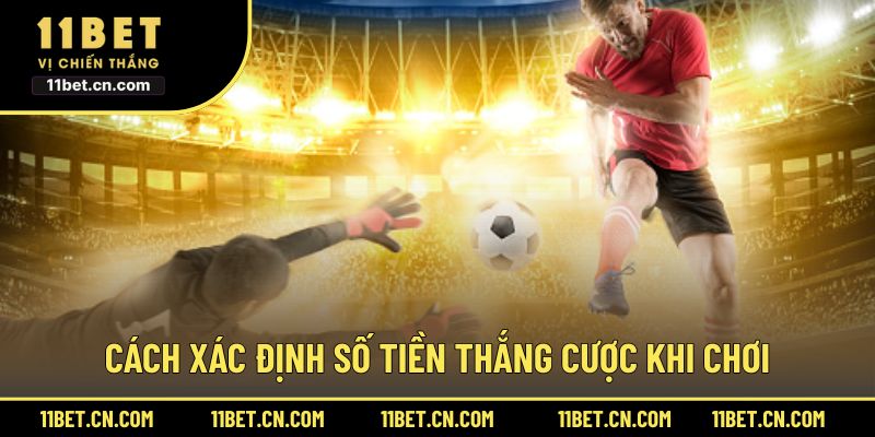 Cách xác định số tiền thắng cược khi chơi