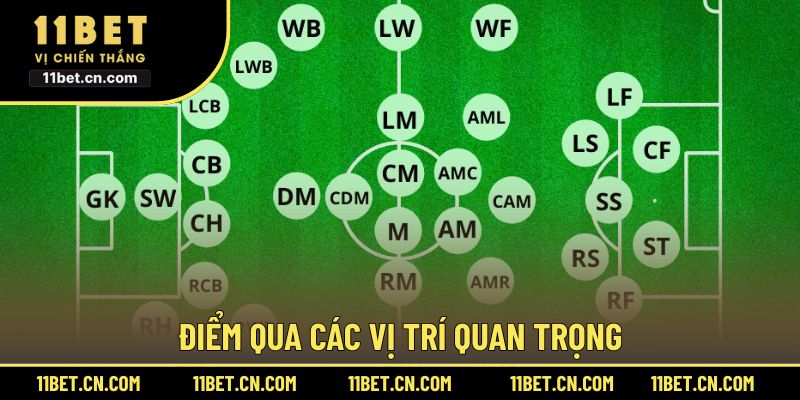 Điểm qua các vị trí quan trọng