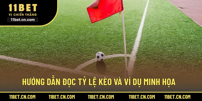 Hướng dẫn đọc tỷ lệ kèo và ví dụ minh họa