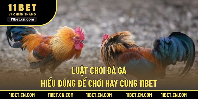 Luật chơi đá gà