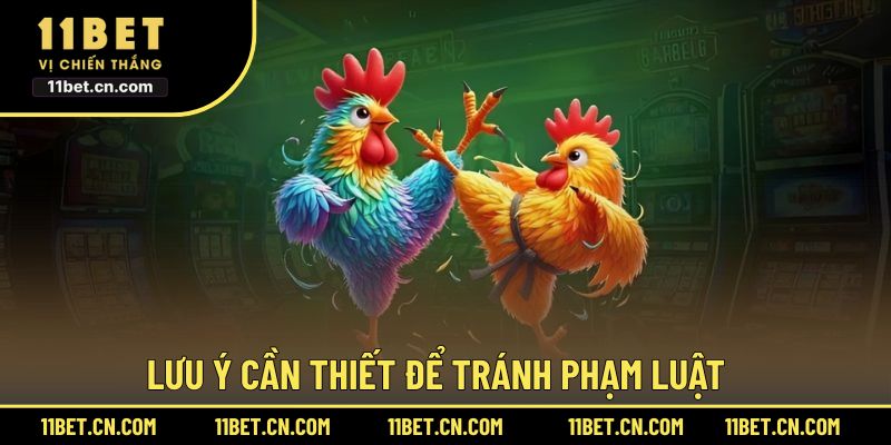 Lưu ý cần thiết để tránh phạm luật