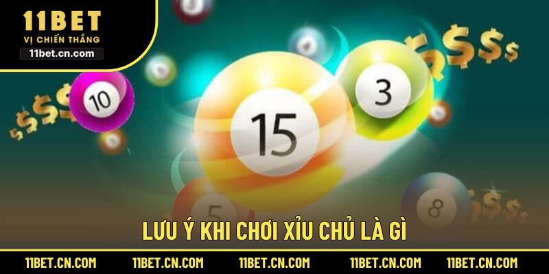 Lưu ý khi chơi xỉu chủ là gì