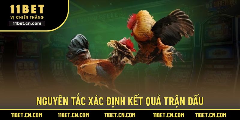 Nguyên tắc xác định kết quả trận đấu