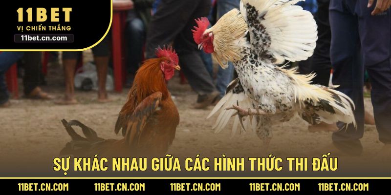 Sự khác nhau giữa các hình thức thi đấu