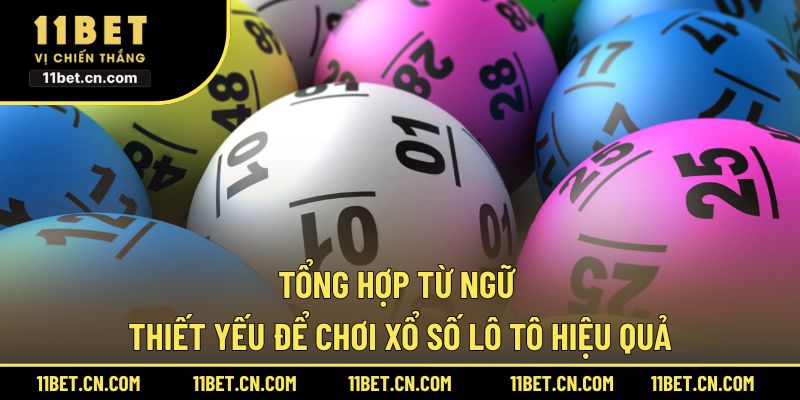 Tổng hợp từ ngữ thiết yếu để chơi xổ số lô tô hiệu quả