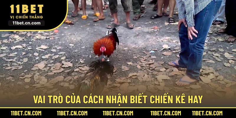 Vai trò của cách nhận biết chiến kê hay